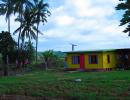 I loved the colourful Fijian houses
